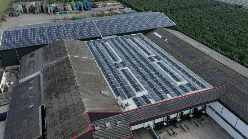 Projectfoto Fruitpartners Blom (1 van 3)
